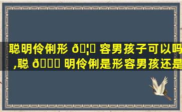 聪明伶俐形 🦈 容男孩子可以吗,聪 🐟 明伶俐是形容男孩还是女孩什么意思